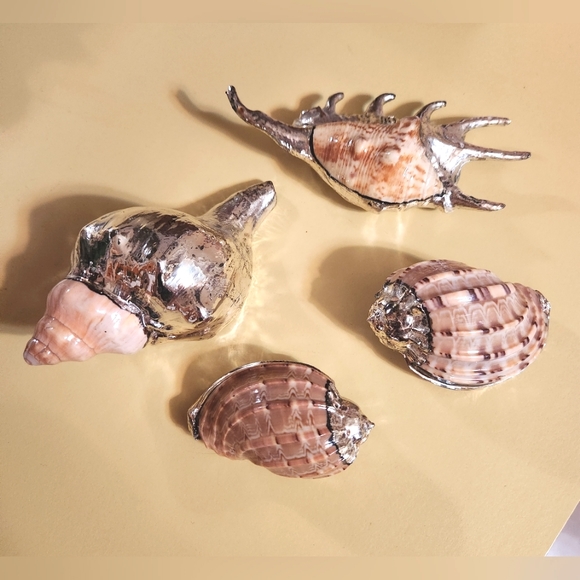 Restoration Hardware Other - Restoration Hardware Set Of 4 Silver Plated Seashells